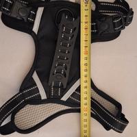 Pettorina per cane di piccola taglia