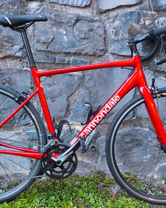 bici da corsa Cannondale 
