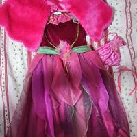 costume carnevale Disney fate rosetta