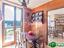 Immagine 15
