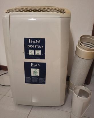 DE LONGHI Pinguino Silent climatizzatore 10000 btu