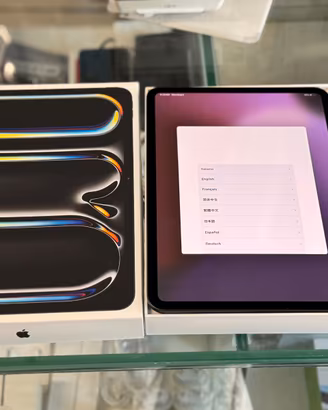 iPad Pro 11" (2024) 5ª 256GB Wi-Fi-Batteria 100%