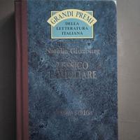 I grandi premi della letteratura italiana, Lessico