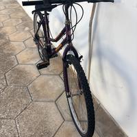 bicicletta