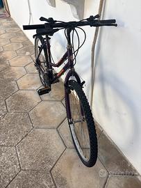 bicicletta