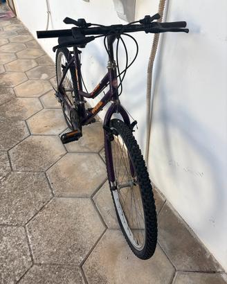 bicicletta