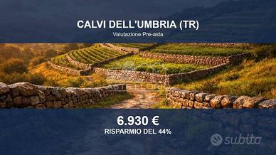 Immobile in asta di 19060 m² a Calvi dell'Umbria