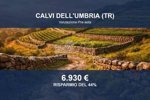Immobile in asta di 19060 m² a Calvi dell'Umbria