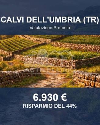 Immobile in asta di 19060 m² a Calvi dell'Umbria