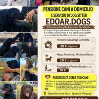Dog Sitter zona arca Spoltore e pensione domicilio