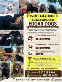 Dog Sitter zona arca Spoltore e pensione domicilio