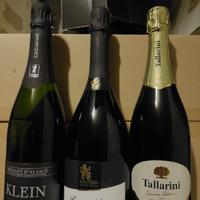 9 Champagne selezione da mia cantina 
