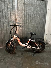 Fat bike-Biciletta elettrica