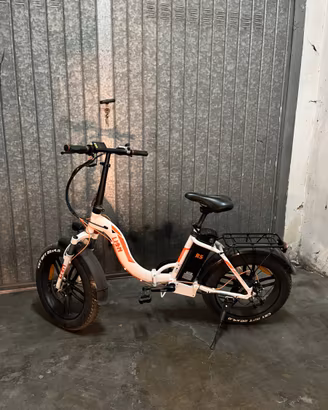 Fat bike-Biciletta elettrica