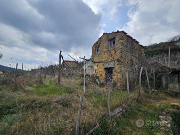 TER. RESIDENZIALE A CERIANA