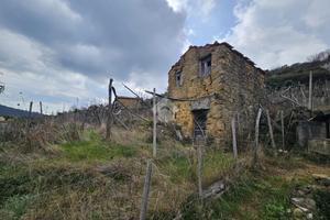 TER. RESIDENZIALE A CERIANA