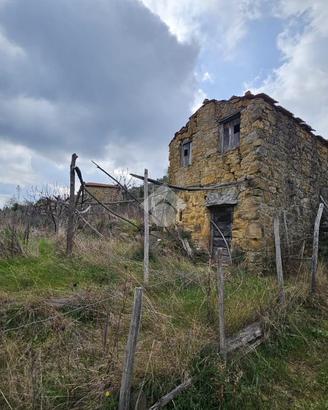 TER. RESIDENZIALE A CERIANA