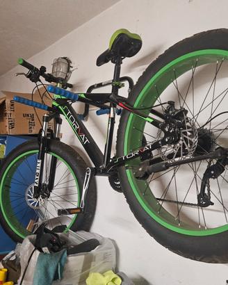 Fat Bike Torvat