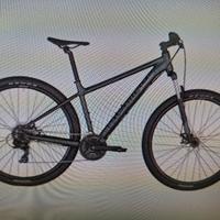 bici mtb bergamont (scott) grey xl NUOVA 