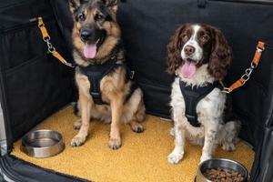 FIORINO AUTOCARRO N.1