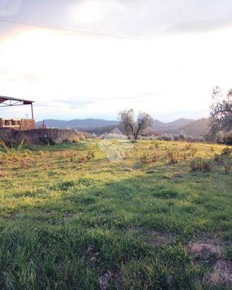 TER. AGRICOLO A MOMPEO
