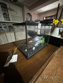 Acquario 20L