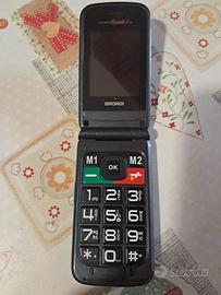 Brondi amico grande 2