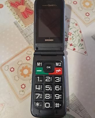 Brondi amico grande 2