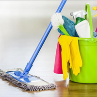 2 ragazze disponibili per pulizie professionali