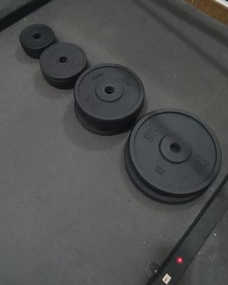 Dischi palestra