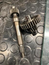 Rapoorti Malossi piaggio 50 2t