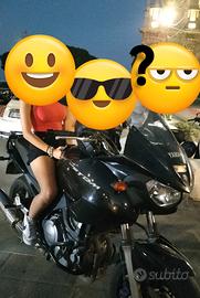 Yamaha TDM 900 - 2008