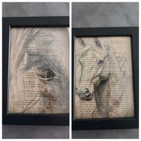 Quadro cavallo horse