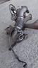 turbina-fiat-strada-palio-1-7