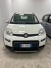 fiat-panda-1-0-hybrid-solo-54mila-km