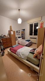 Posto letto in doppia - zona san donato - 250