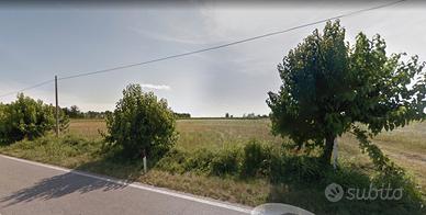 Seminativo a Pavia di Udine