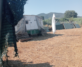 Terreno a Castiglione della pescaia