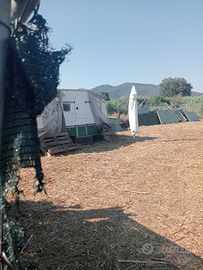 Terreno a Castiglione della pescaia