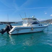Boston Conquest 295