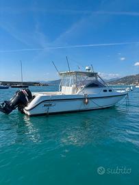 Boston Conquest 295