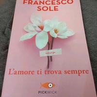 Libro Francesco sole L'AMORE TI TROVA SEMPRE