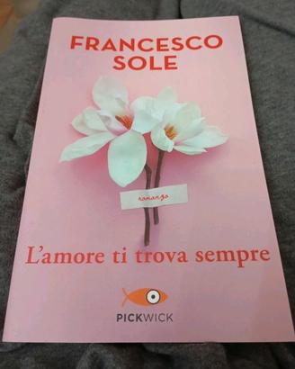 Libro Francesco sole L'AMORE TI TROVA SEMPRE