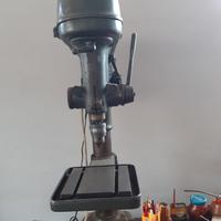 oggetto collezoonismo