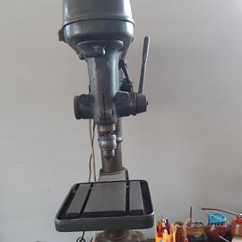 oggetto collezoonismo