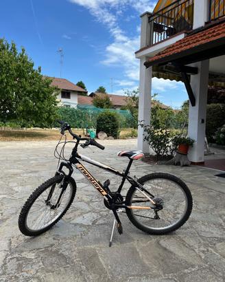 Bicicletta per bambin* circa da 6 a 14 anni