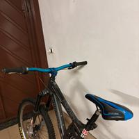 rocky mountain switch