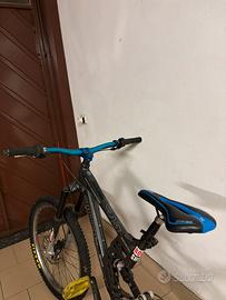 rocky mountain switch