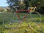 Immagine 2