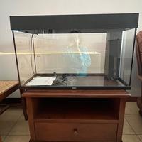 Acquario Juwel